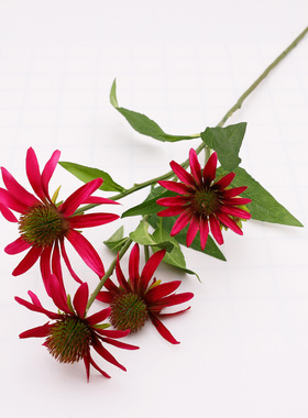 厂家直销仿真松果菊仿