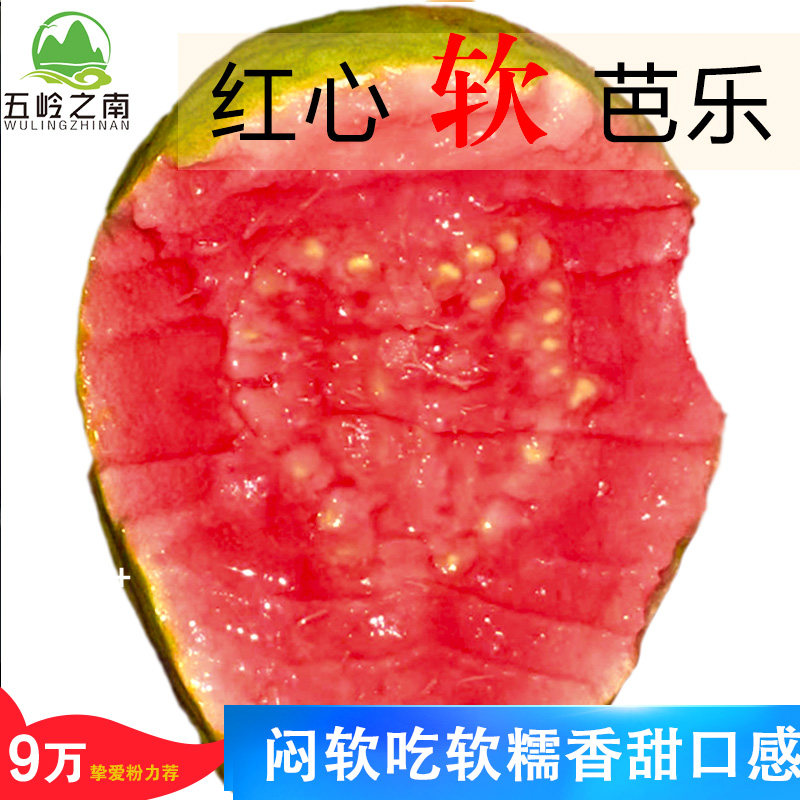 广西软糯红心芭乐5斤水果软心番石榴奶油红心偏小鸡屎果芭乐,淘宝优惠券,粉丝福利购,淘宝优惠卷