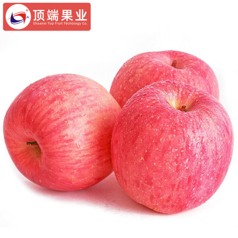 洛川苹果陕西红富士新鲜水果苹果6枚16枚绿色食品脆甜爆汁大果,淘宝优惠券,粉丝福利购,淘宝优惠卷