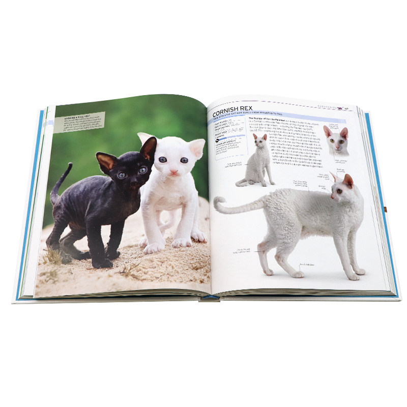 DK百科猫咪完整品种介绍英文原版 The Complete Cat Breed Book 猫猫基本健康实用指南猫特点收录超140个猫猫品种收录介绍精装