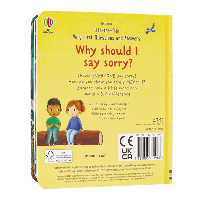 问与答系列立体翻翻书为什么要道歉Lift-The-Flap Very Why should I say sorry? 英文原版绘本幼儿童科普百科英语读物纸板书