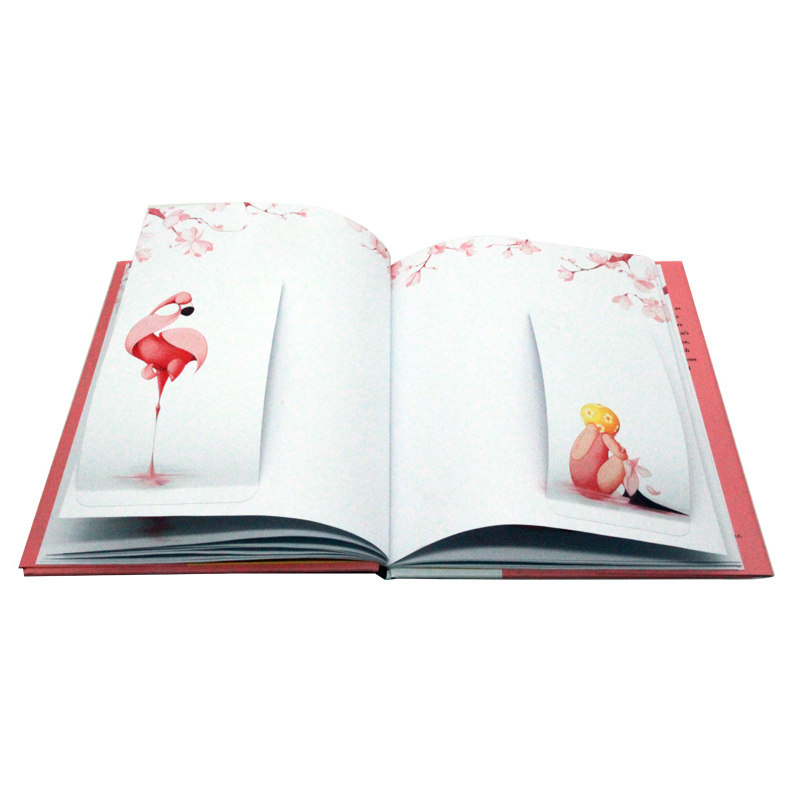 弗洛拉和火烈鸟 Flora and the Flamingo 英文原版绘本 凯迪克银奖 精装大开英语启蒙认知图画故事书 亲子共读绘本获奖绘本