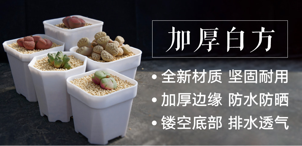 光语石 特厚塑料方盆八角盆白色简约磨砂 多肉度夏专用盆白方黑方,淘宝优惠券,粉丝福利购,淘宝优惠卷