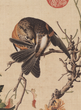 郎世宁仙萼长春图十六宫廷画挂轴条幅卷轴花鸟画名画复制品玄关画