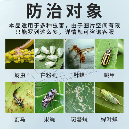 诱虫板果园大棚沾虫板黄板双面粘虫板果蝇贴黏虫板针蜂贴飞虫专用 - 图0