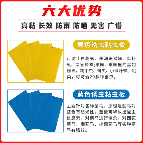 诱虫板果园大棚沾虫板黄板双面粘虫板果蝇贴黏虫板针蜂贴飞虫专用 - 图2