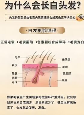 桦誉白发养护养黑养发液精华液滋养液云鬓赋活精华浓缩人参植萃养