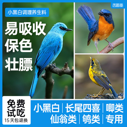 西蜀堂小黑白鸟食北红鸟饲料营养壮膘嗜虫杂鸟饲料仙翁长尾饲料 - 图0