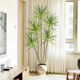 Large floor-standing ornaments dragon blood tree entrance decoration