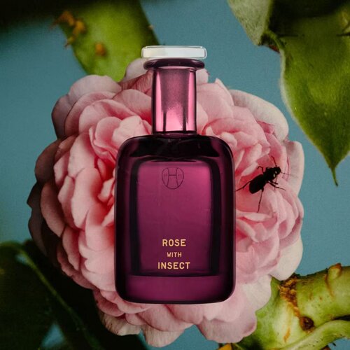 Perfumer h香水英国Rose withInsect玫瑰与昆虫蒲公英烟草试香 - 图2