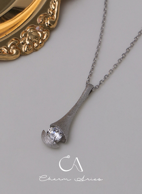 S925纯银锁骨链女生轻奢高级项链