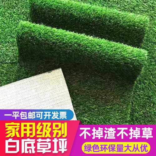 仿真草坪白底室内绿地毯铺垫塑料人造人工假草皮装饰阳光房隔热草 - 图1