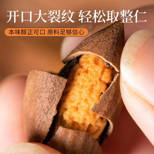 Torreya sub Zhuji Fengqiao new arrivals 2024