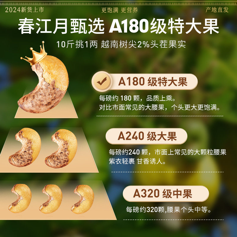 春江月A180特大越南紫皮腰果2025年带皮紫衣新货产原味罐装无添加 - 图0
