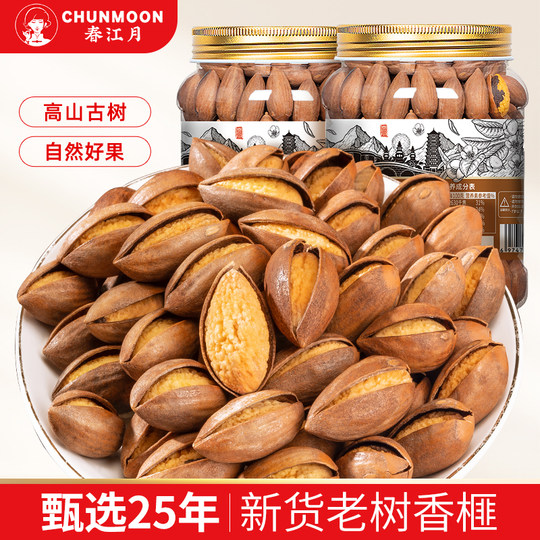 Torreya sub Zhuji Fengqiao new arrivals 2024