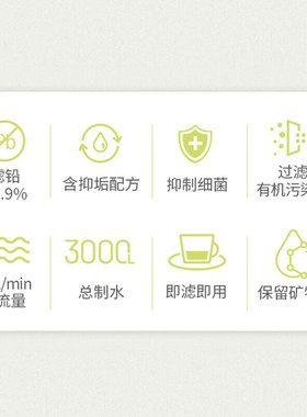 滨特尔爱惠浦（Everpure） EF-900P 净水机滤芯