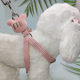 Zhen pet dog harness dog leash