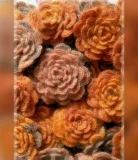 Импортная шерстяная куртка, Италия, 50 грамм