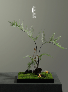 新中式永生苔藓仿真蕨类摆设