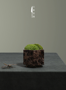 天青苔绿中古风大理石永生苔藓