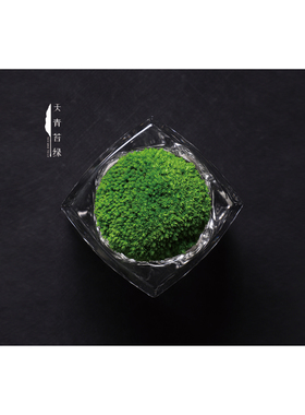 样板间青苔摆件软装花艺