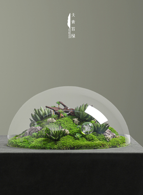 新中式永生苔藓造景茶室桌面摆件