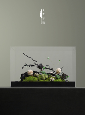 样板间新中式摆件苔藓微景观