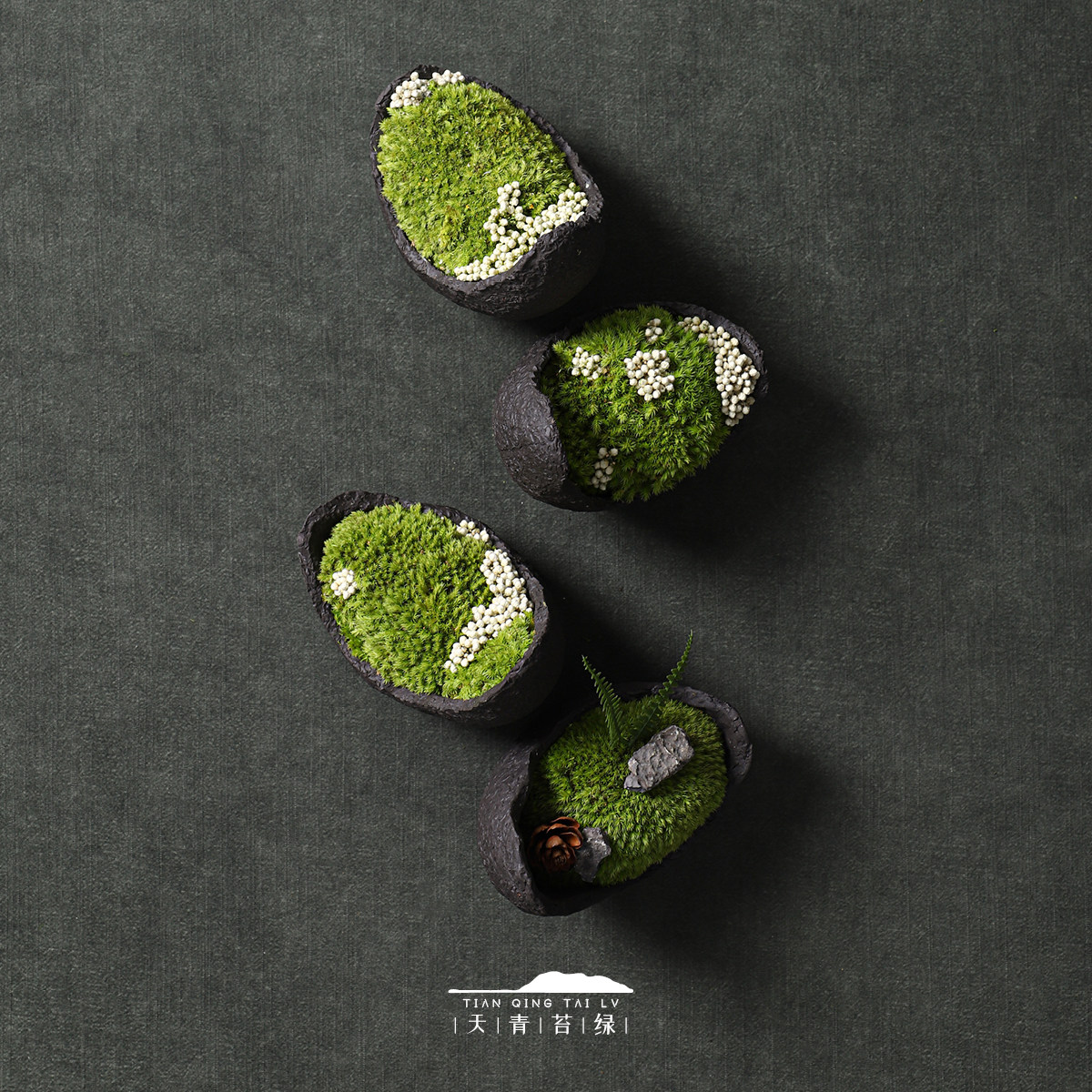 天青苔绿 新中式永生苔藓微景观 样板间家居儿童房桌面迷你小摆件,淘宝优惠券,粉丝福利购,淘宝优惠卷