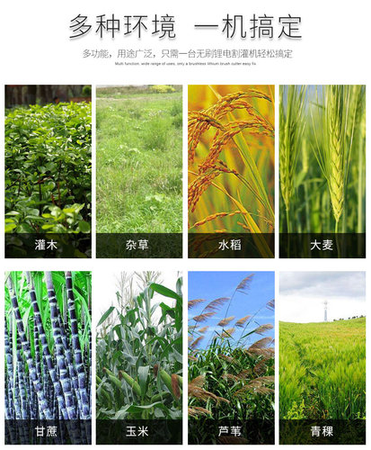 MEDAS美达斯 锂电电动割草机充电式除草机打草机草坪剪草机割灌机 - 图1