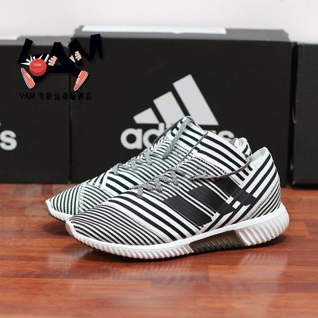 nemeziz zebra