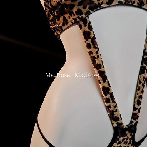 Ms Rose性感豹纹小胸镂空三点情感内衣套装女刺激连体衣qq衣物 - 图1