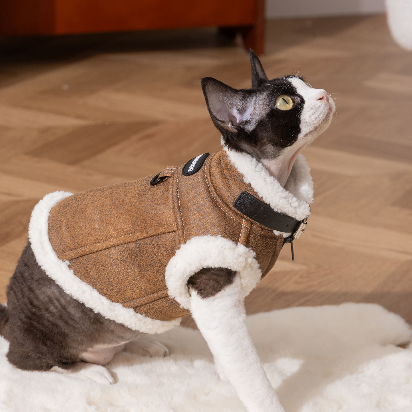 小猫咪衣服冬季保暖背心麂皮马甲带牵引宠物毛衣德文猫冬款羽绒服,淘宝优惠券,粉丝福利购,淘宝优惠卷