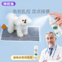 Dog Upper Toilet Fixed Point Defecation Inducing Agent Bowels Anti-Dog Mess Rabbi Bear Positioning Guidance Training Fluid