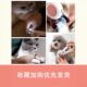 Nail Artifact LED Light Beginner Pet Supplies Cat