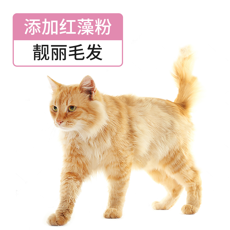 宠道夫猫粮折耳布偶专用全价4斤成幼猫营养增肥英短美短通用型2kg - 图2