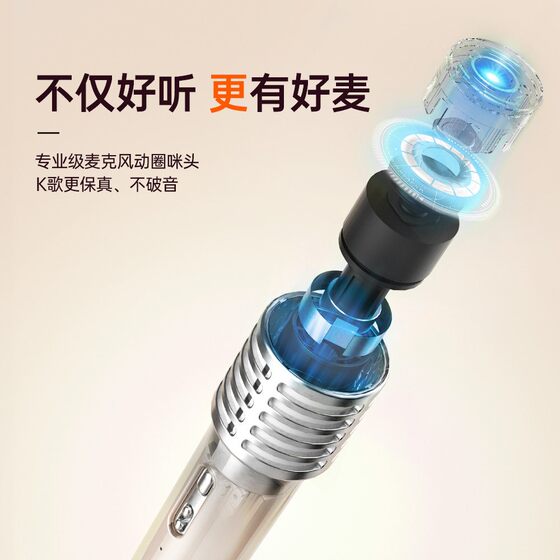 Home Bluetooth Karaoke Speaker