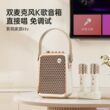 Home Bluetooth Karaoke Speaker
