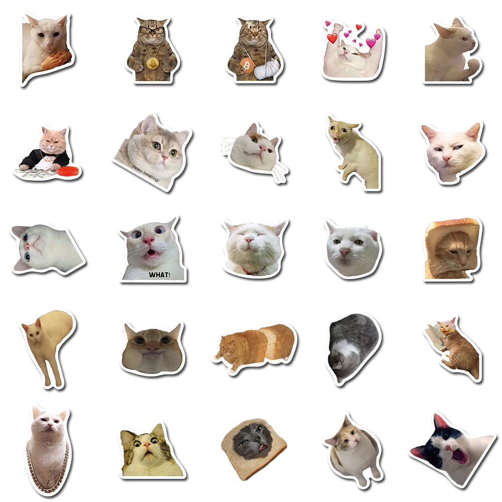 50PCS Cat MEME Funny Animals Stickers Vintage Toy DIY Kids N - 图2