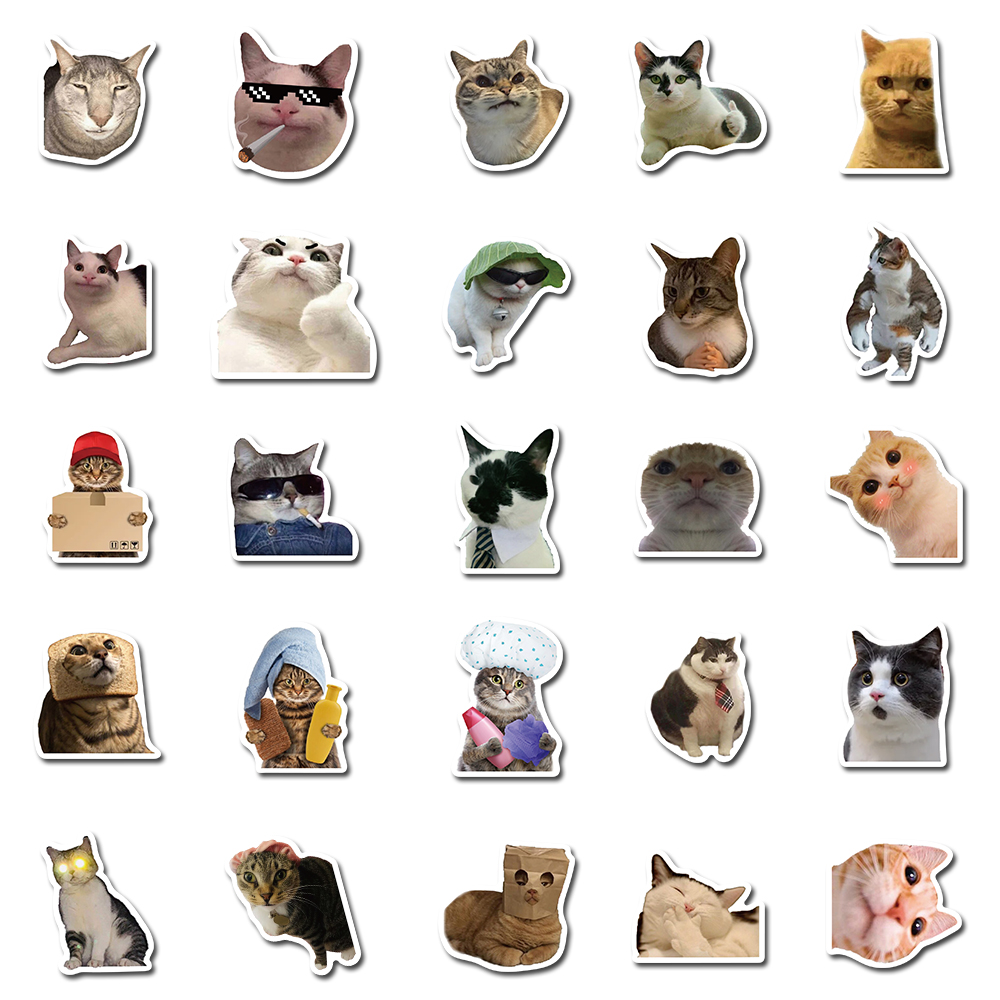 50PCS Cat MEME Funny Animals Stickers Vintage Toy DIY Kids N - 图1