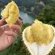 Vietnamese golden-waisted durian. Fresh shelled durian. Fruit core is too large.