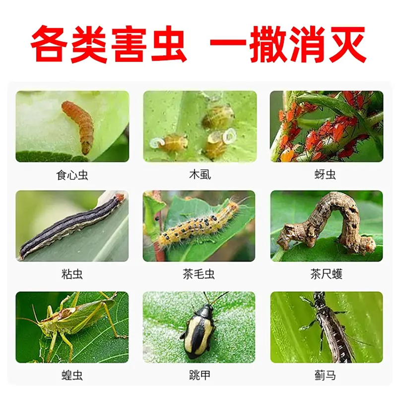 不伤苗【直接撒】地下地上杀虫防虫颗粒长效驱虫颗粒种菜专用防治,淘宝优惠券,粉丝福利购,淘宝优惠卷