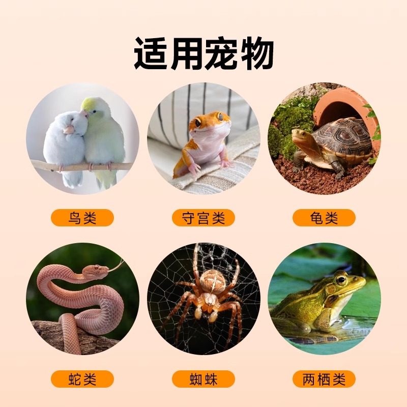 得力鹦鹉温度计爬宠迷你养殖专用家用温湿度计乌龟宠物电子湿度计,淘宝优惠券,粉丝福利购,淘宝优惠卷