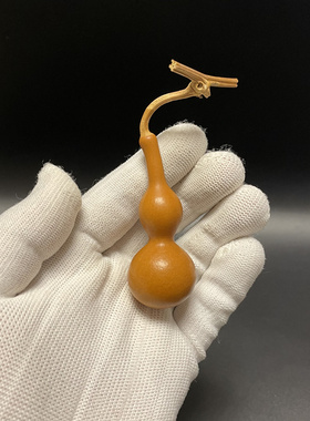 精品红皮老葫芦八宝天津嘴迷你小手捻文玩葫芦一物一图天然带龙头