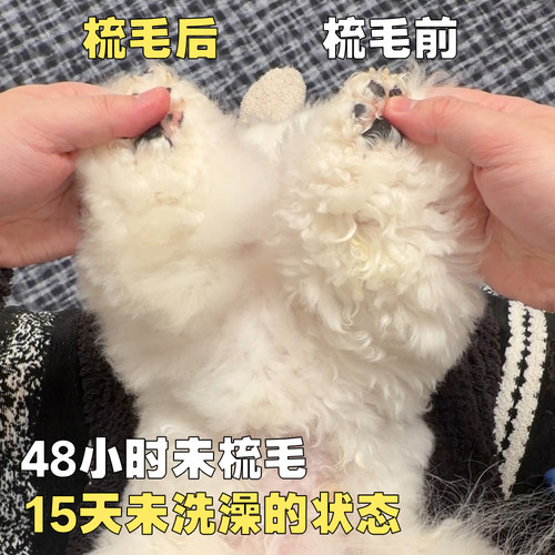 【梳毛不伤肤】Plush Puppy 宠物针梳 狗狗比熊拉毛 PP宠物针梳 - 图0