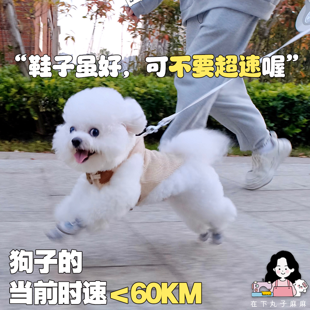 在下肉丸子 Fokwow 狗狗鞋子 小型犬 泰迪比熊博美 软底防掉透气 - 图0