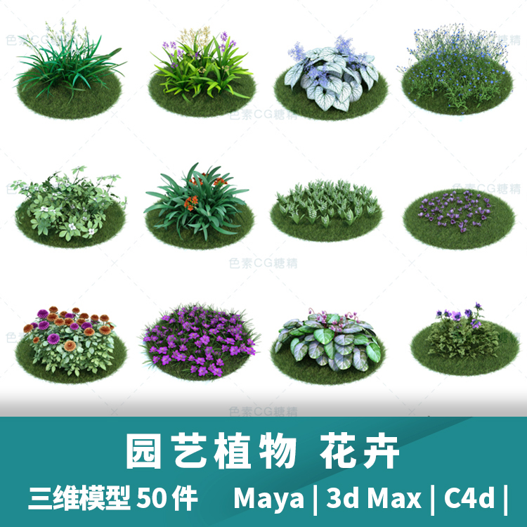 花园艺植物花草灌木兰花草地3d三维模型50件mayamaxc4dBlender - 图2