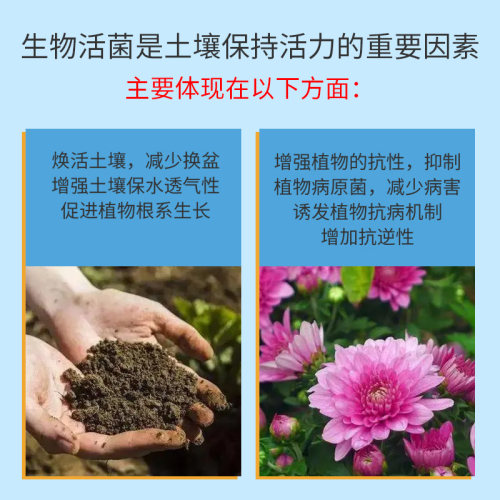 枯草芽孢菌杆菌绿植盆栽花卉哈茨木霉菌矿源黄腐酸钾肥料菌肥-图1