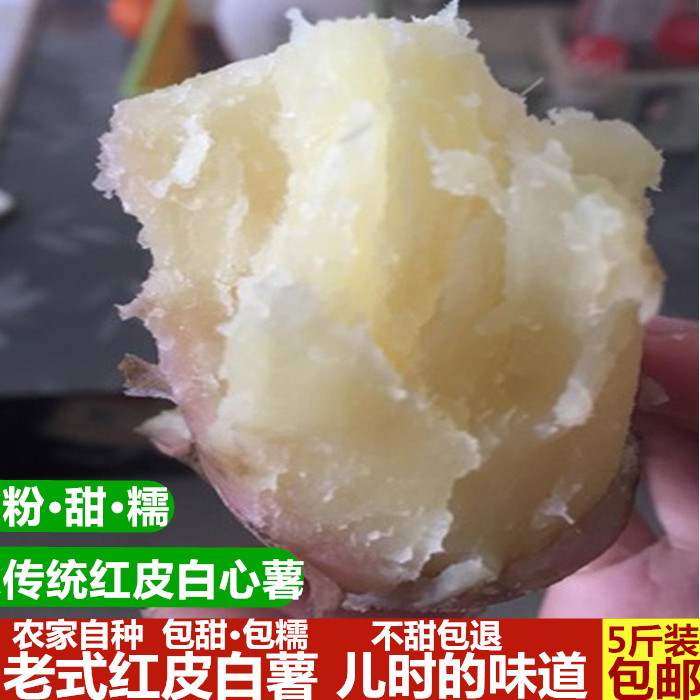 新鲜自种红皮白心红薯软糯番薯四川农产品白瓤地瓜山芋沙地板栗薯
