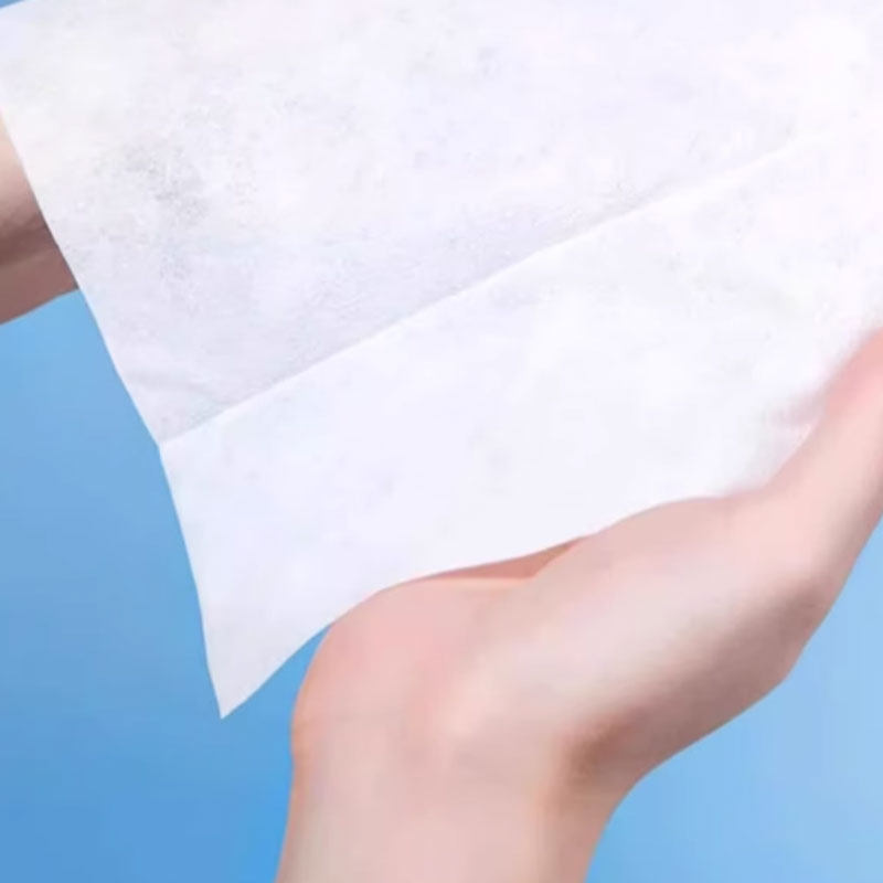 海氏海诺酒精湿巾75%度家用大包杀菌消毒湿纸巾家庭用清洁湿纸巾,淘宝优惠券,粉丝福利购,淘宝优惠卷