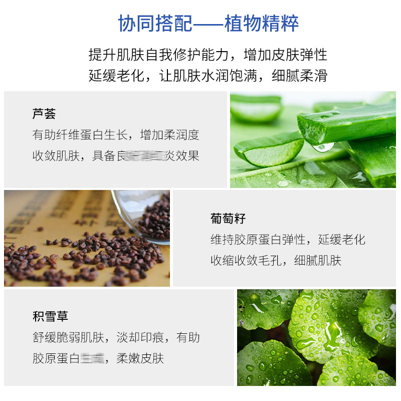 FSKY/菲诗凯尔肌肽膜修护贴面膜5片/盒 改善焦糖脸暗沉淡化肤印 - 图2